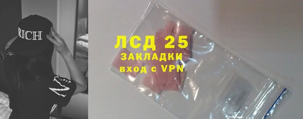 прущие грибы Воткинск