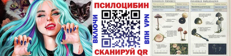 Псилоцибиновые грибы прущие грибы  купить   Ардон 
